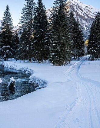 Winter landscape at Bräualmbach | Gerhard Pilz | © Erlebnisregion Schladming-Dachstein