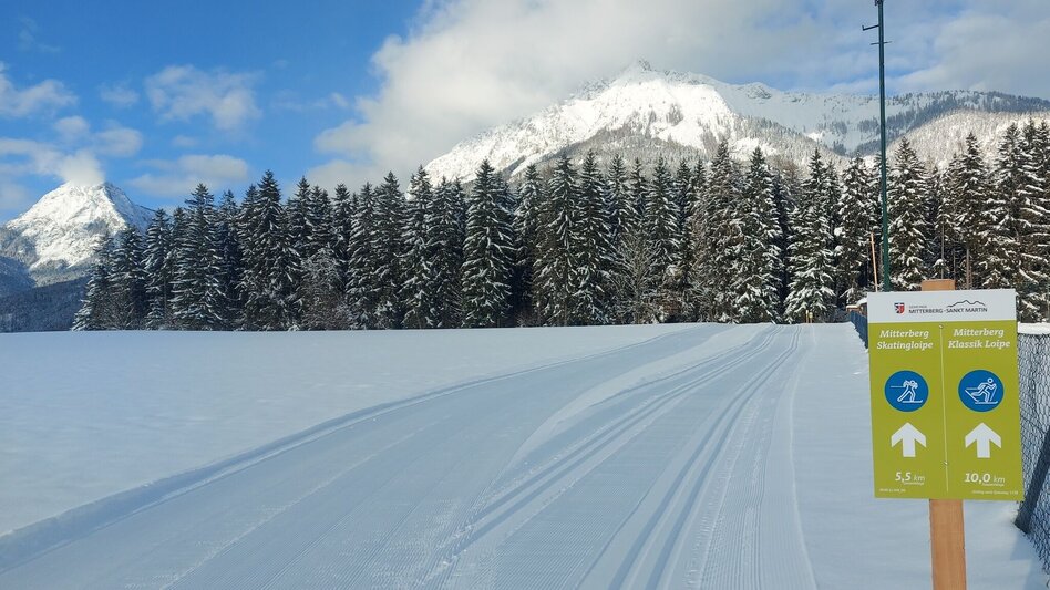Langlauf Skating Mitterberg Skatingloipe - Touren-Impression #2.1 | © Erlebnisregion Schladming-Dachstein