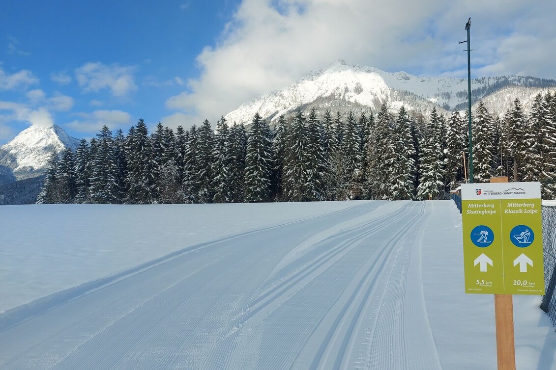 Langlauf Skating Mitterberg Skatingloipe - Touren-Impression #1 | © Erlebnisregion Schladming-Dachstein