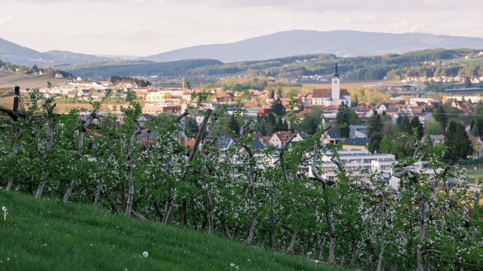 Panoramatouren/Themenstraßen Apfelland Vespa-Tour - Touren-Impression #2.4 | © Oststeiermark Tourismus
