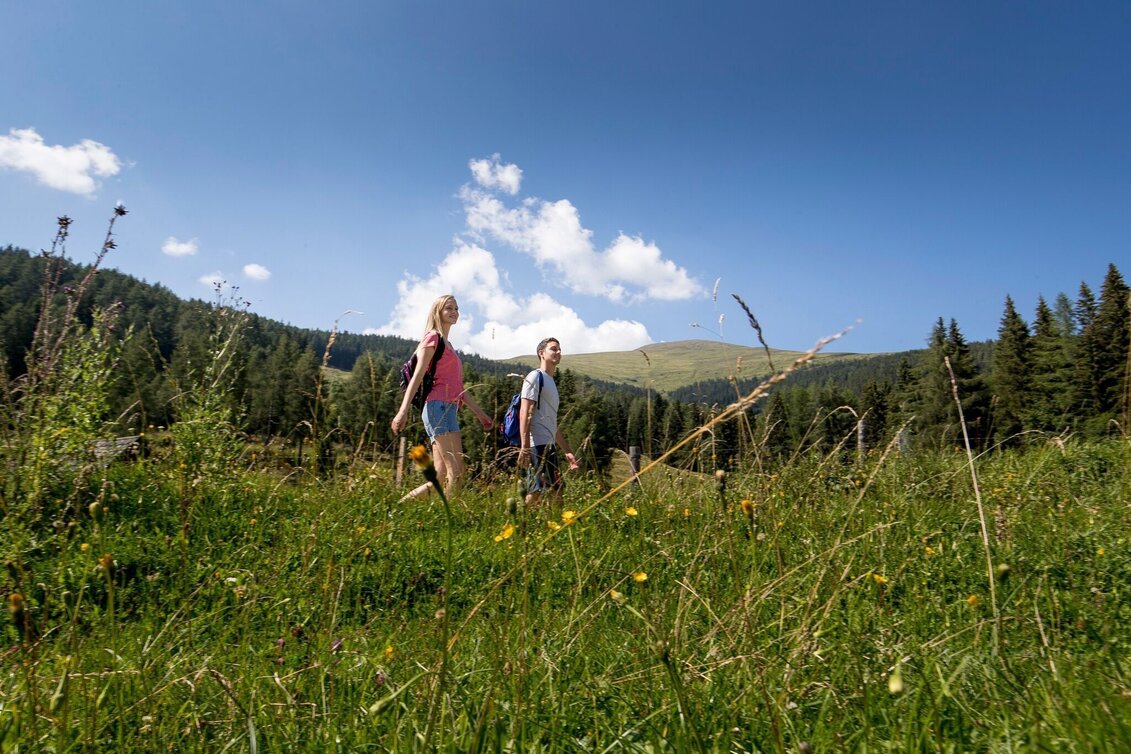 Wanderung Perchauer Rundwanderweg - Touren-Impression #1 | © Tourismusverband Murau