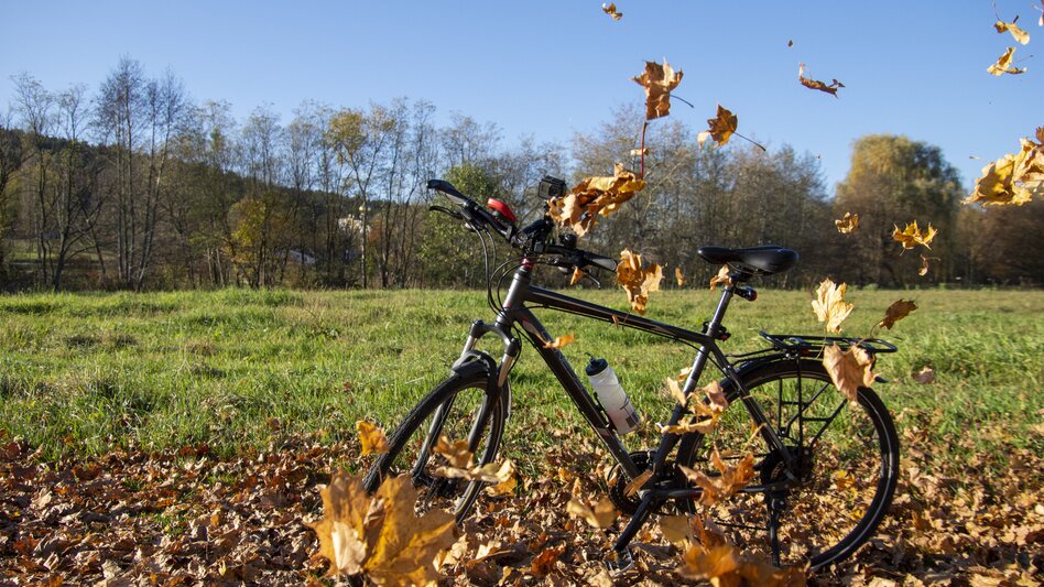 Radfahren Safentalweg Thermengemeinde Bad Blumau - Touren-Impression #2.12 | © Kurkommission Bad Blumau
