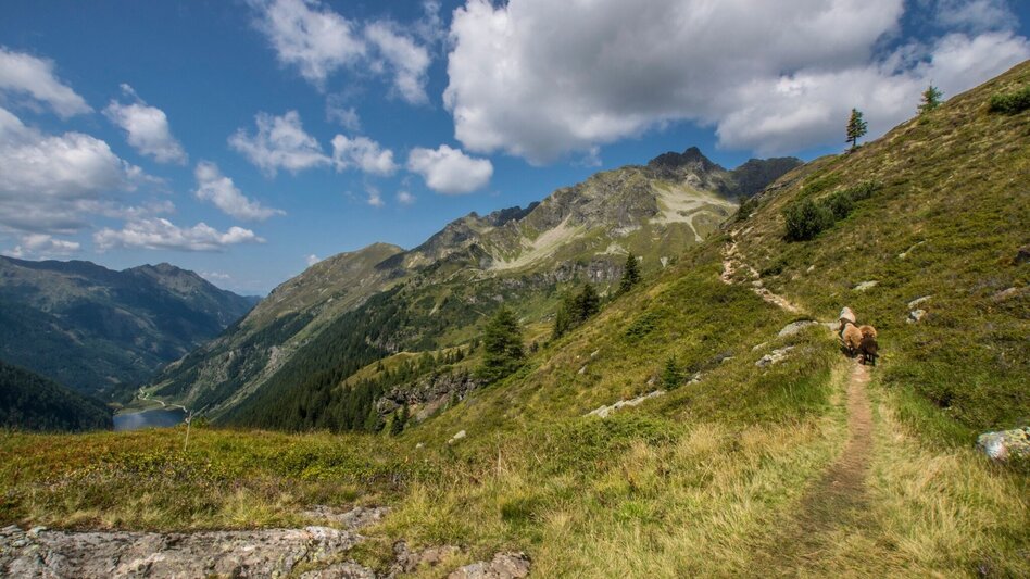 Mountain Hike 2-days-hike: Planai High Trail with overnight at Preintalerhütte chalet - Touren-Impression #2.12 | © Gerhard Pilz