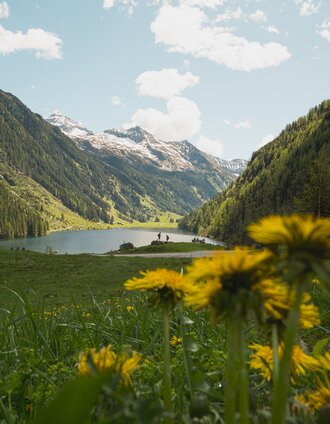 Riesachsee im Frühling | Marlene Eggmayr | © Erlebnisregion Schladming-Dachstein