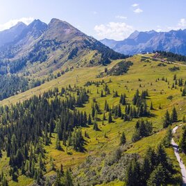 Planai Panorama-Rundweg und der Krahbergzinken im Hintergrund | © Erlebnisregion Schladming-Dachstein