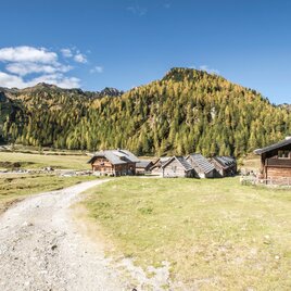 Ursprungalm chalets in autumn | © Gerhard Pilz - www.gpic.at