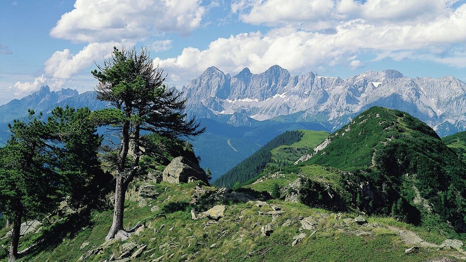 Mountain Hike High Trail Ursprungalm - Giglachseen - Hochwurzen - Touren-Impression #2.6 | © Tourismusverband Schladming
