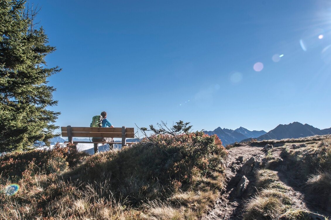 Wanderung Naturlehrpfad Roßfeld - Touren-Impression #1 | © Tourismusverband Schladming