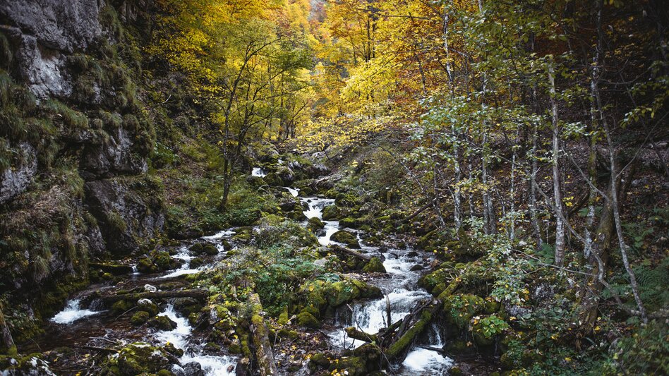 Bergtour Durch den Hartelsgraben über's Sulzkar zur Hesshütte und nach Johnsbach - Touren-Impression #2.1 | © TV Gesäuse