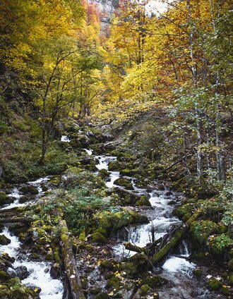 Durch den Hartelsgraben über's Sulzkar zur Hesshütte und nach Johnsbach | Tourismusverband Gesäuse | © TV Gesäuse