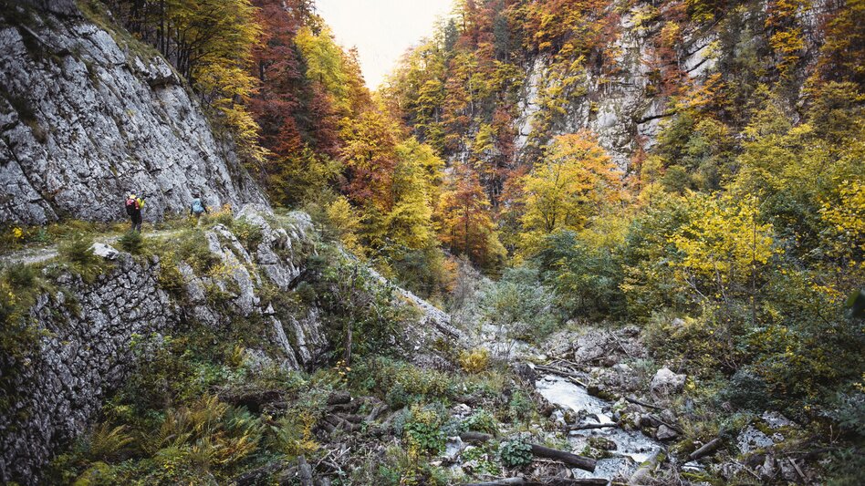 Bergtour Durch den Hartelsgraben über's Sulzkar zur Hesshütte und nach Johnsbach - Touren-Impression #2.2 | © TV Gesäuse