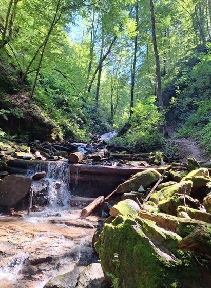 kleiner Wasserfall Klamm | © TVB Südsteiermark/Julia Jammernegg | © TVB Südsteiermark/Julia Jammernegg