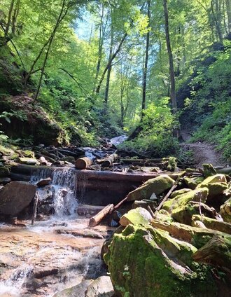 kleiner Wasserfall Klamm | © TVB Südsteiermark/Julia Jammernegg