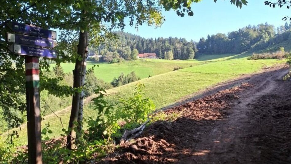 Wanderung Heiligengeistklamm (Variante Kleeblattwanderung Nr. 1)  - Touren-Impression #2.4 | © TVB Südsteiermark/Julia Jammernegg