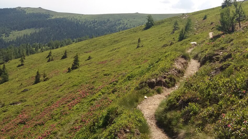 Wanderung Koralm Kristall Trail - Touren-Impression #2.1 | © Region Graz