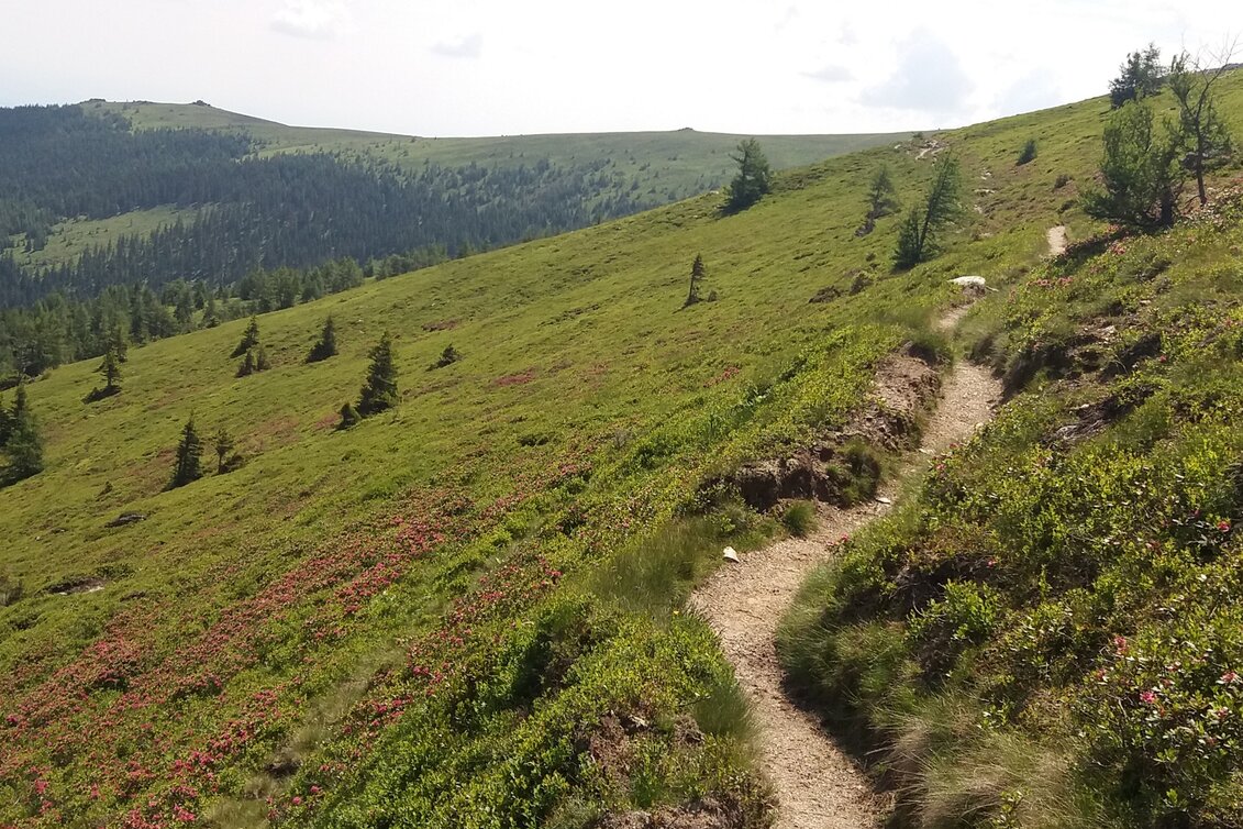 Wanderung Koralm Kristall Trail - Touren-Impression #1 | © Region Graz