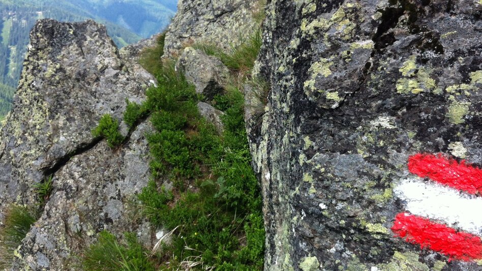 Wanderung Koralm Kristall Trail - Touren-Impression #2.7 | © Region Graz