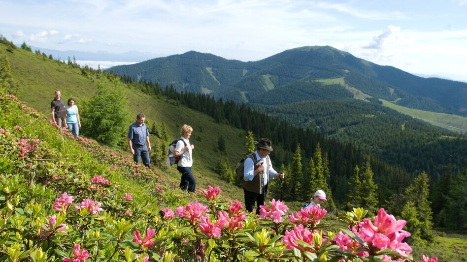 Wanderung Koralm Kristall Trail - Touren-Impression #2.15 | © Region Graz