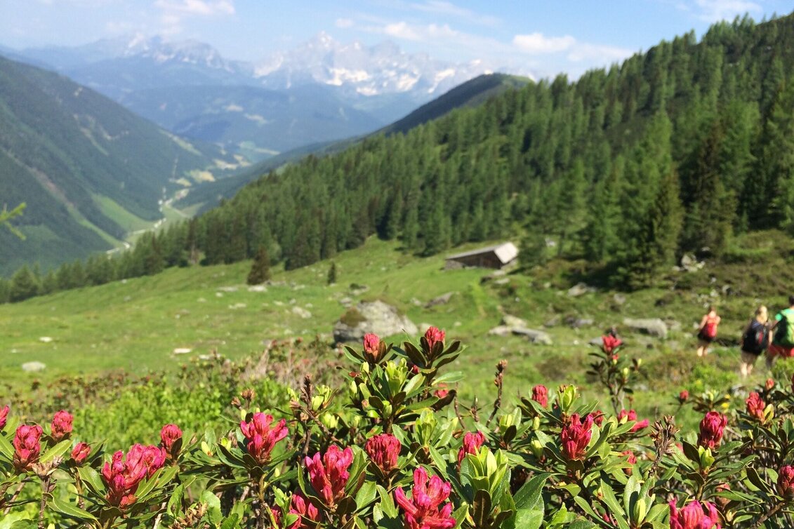 Wanderung Laubschachenweg - Touren-Impression #1 | © Tourismusverband Schladming - Katrin Hutegger