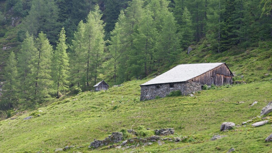 Wanderung Laubschachenweg - Touren-Impression #2.2 | © Gerhard Pilz
