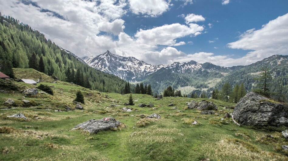 Wanderung Laubschachenweg - Touren-Impression #2.3 | © Gerhard Pilz - www.gpic.at