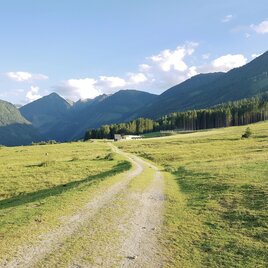 Rohrmooser Frei - an alpine meadow directly in Rohrmoos | © Gerhard Pilz
