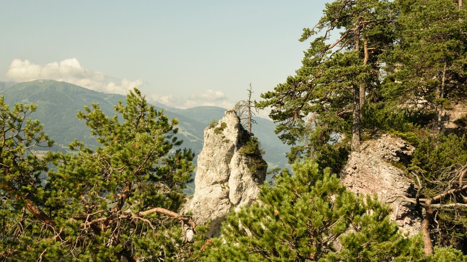 Bergtour Freienstein Rundwanderweg - Touren-Impression #2.3 | © Erlebnisregion Schladming-Dachstein