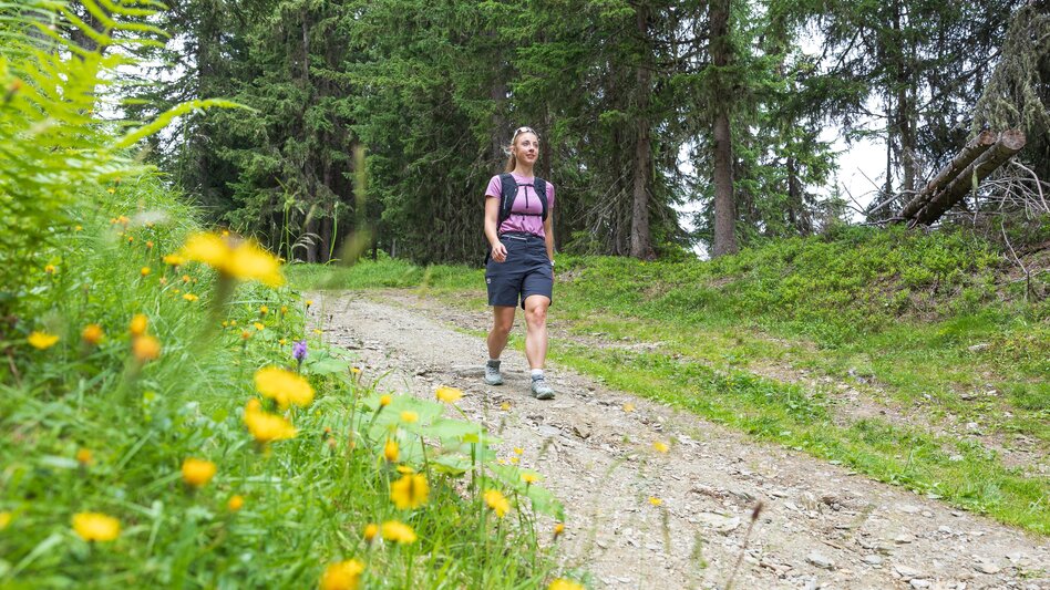 Wanderung WM-Pfad Planai - Touren-Impression #2.4 | © Erlebnisregion Schladming-Dachstein