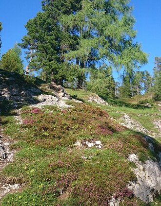 Stoderzinken Wanderweg | Schladming Dachstein | © Erlebnisregion Schladming-Dachstein