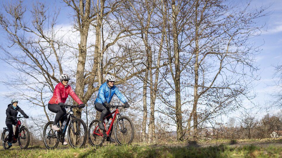 Cycling Weitersfeld round (Weitersfeld Runde) - Touren-Impression #2.1 | © Thermen- & Vulkanland