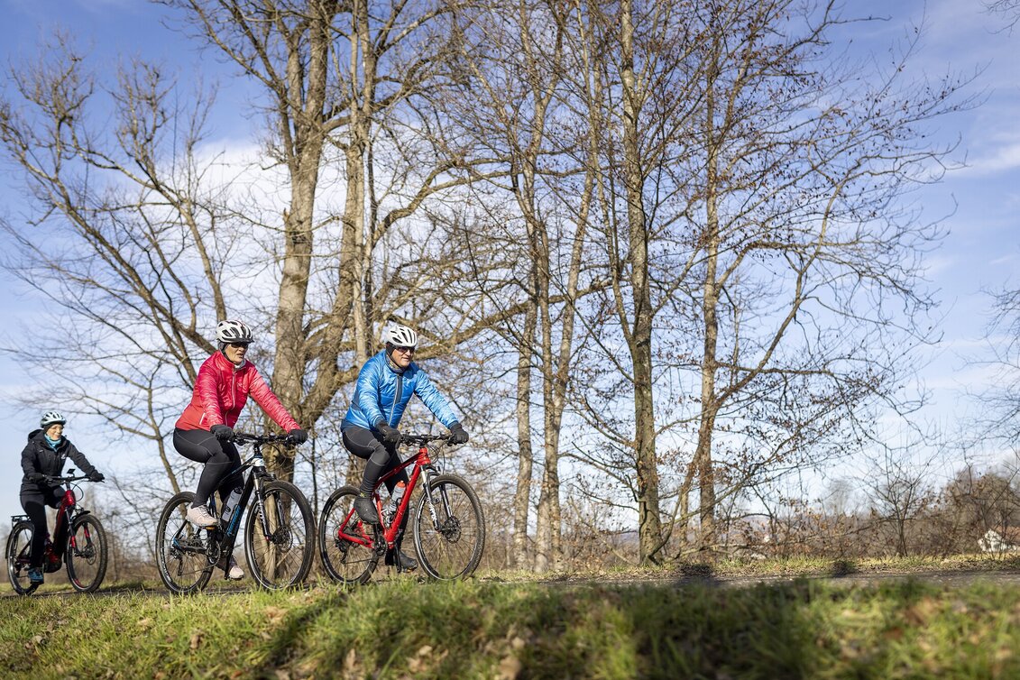 Cycling Weitersfeld round (Weitersfeld Runde) - Touren-Impression #1 | © Thermen- & Vulkanland