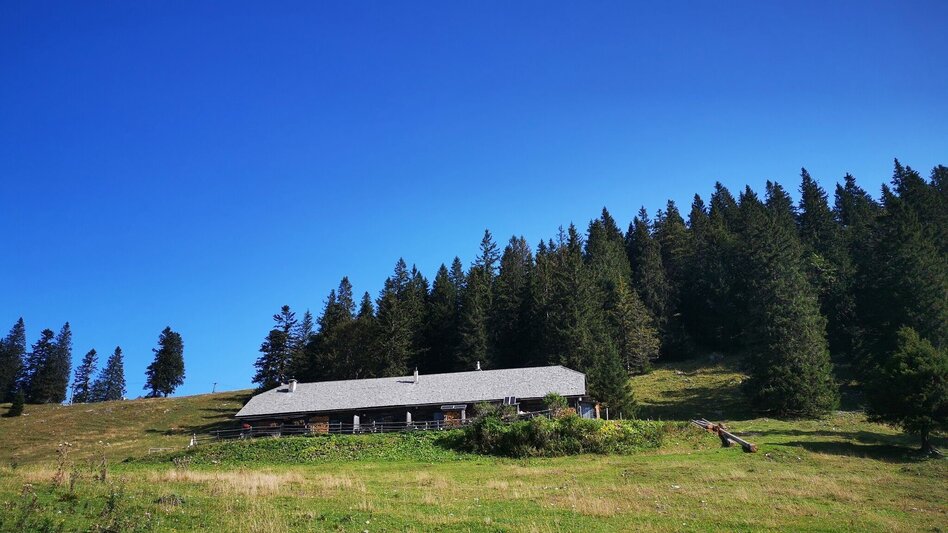 Wanderung Almenwanderung Niederalpl - Schöneben - Touren-Impression #2.1 | © TV Hochsteiermark