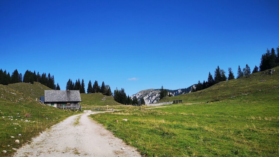 Wanderung Almenwanderung Niederalpl - Schöneben - Touren-Impression #2.2 | © TV Hochsteiermark