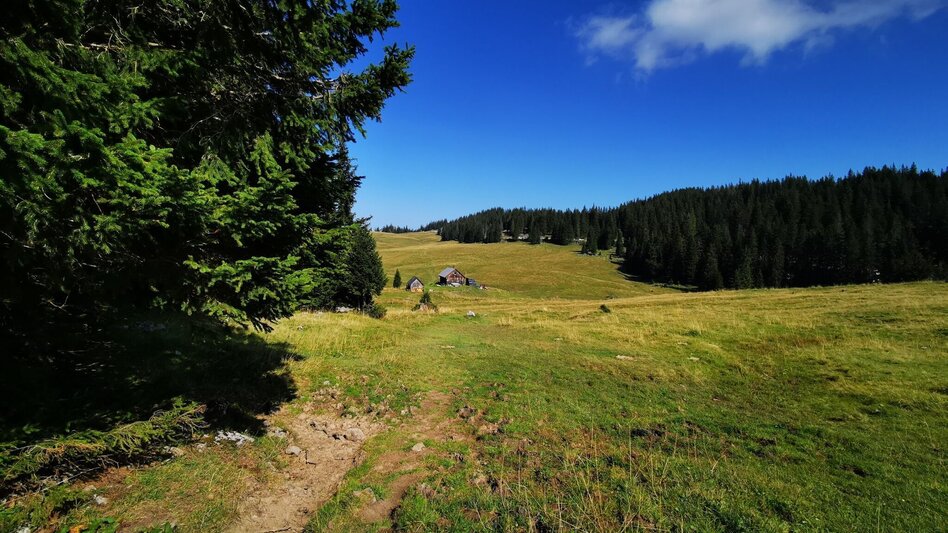 Wanderung Almenwanderung Niederalpl - Schöneben - Touren-Impression #2.3 | © TV Hochsteiermark