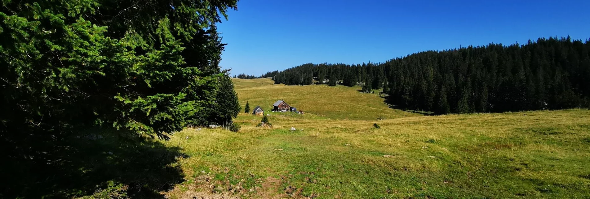 Hiking route Alpine pasture hike Niederalpl - Schöneben - Touren-Impression #1 | © TV Hochsteiermark