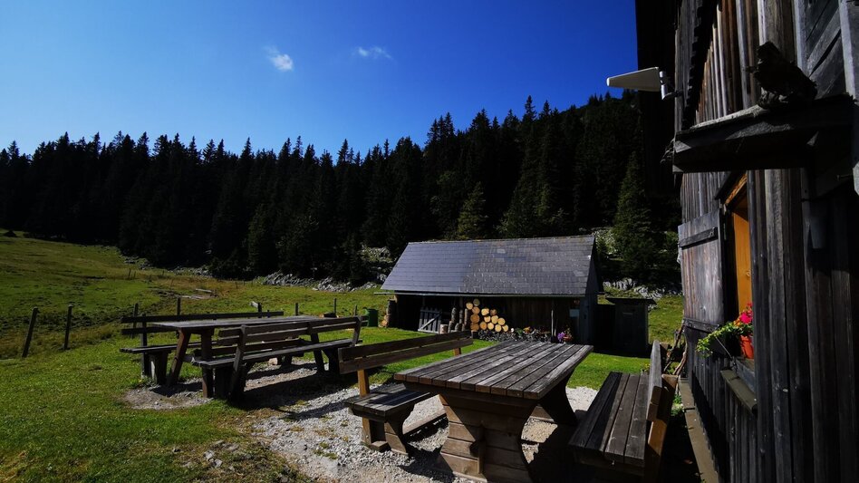 Wanderung Almenwanderung Niederalpl - Schöneben - Touren-Impression #2.4 | © TV Hochsteiermark