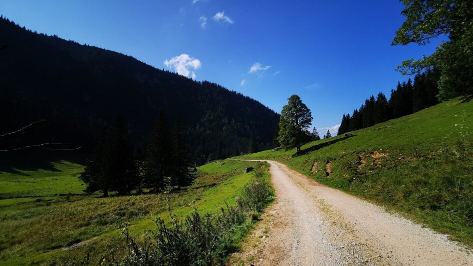 Wanderung Almenwanderung Niederalpl - Schöneben - Touren-Impression #2.7 | © TV Hochsteiermark