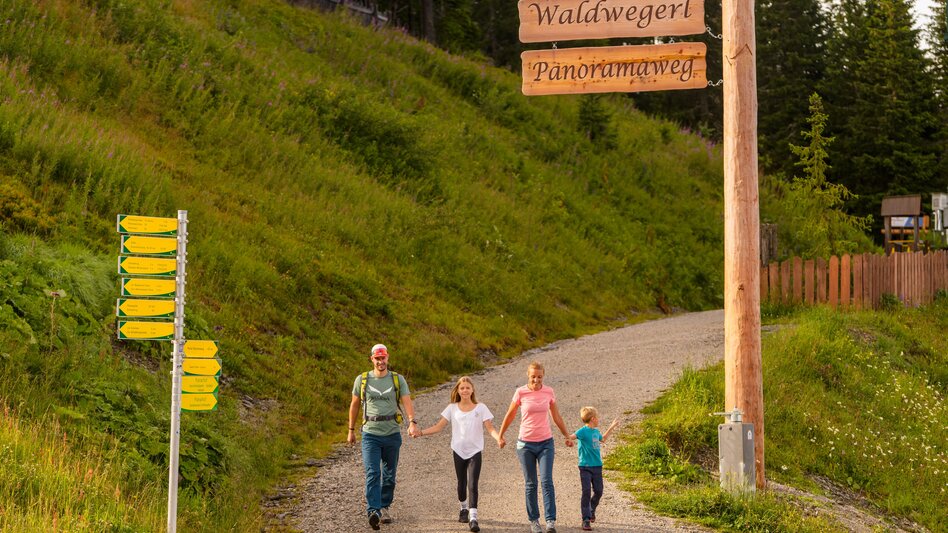 Promenade Route Hopsiland Planai - Touren-Impression #2.16 | © Planai-Hochwurzen-Bahnen - Christine Höflehner