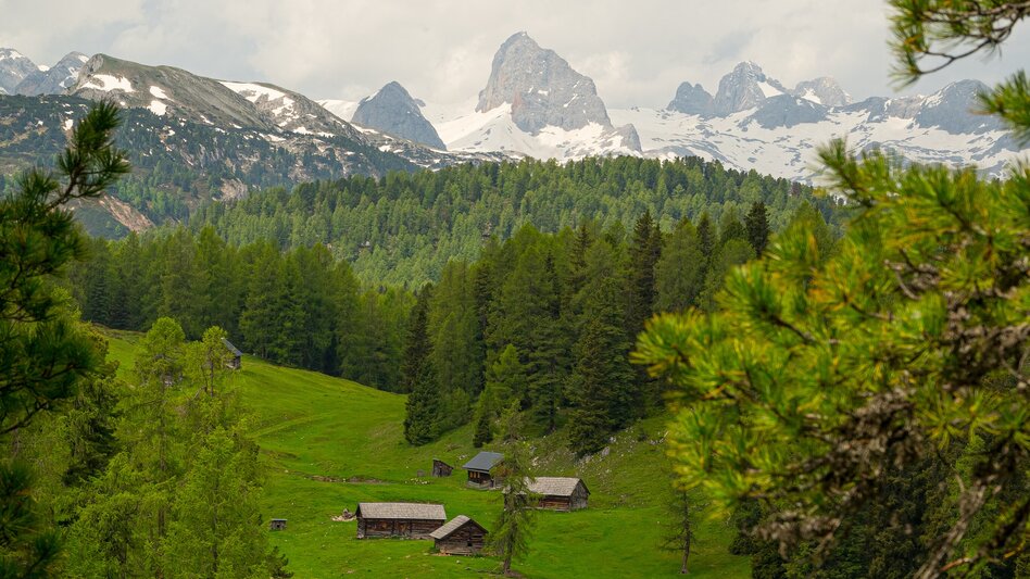 Bergtour Stoderzinken 2.048m, über Öfen und Rotwandschlag - Touren-Impression #2.4 | © Erlebnisregion Schladming-Dachstein