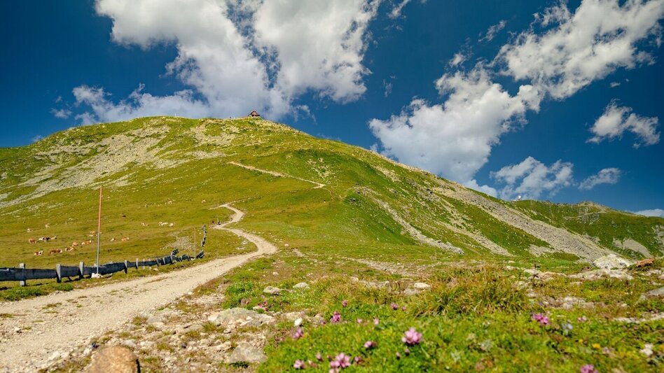Wanderung Von der Sabathy über die Winterleiten auf den Zirbitzkogel - Touren-Impression #2.4 | © Erlebnisregion Murtal