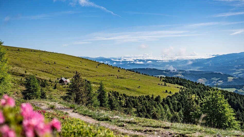 Wanderung Von der Sabathy über die Winterleiten auf den Zirbitzkogel - Touren-Impression #2.5 | © Erlebnisregion Murtal