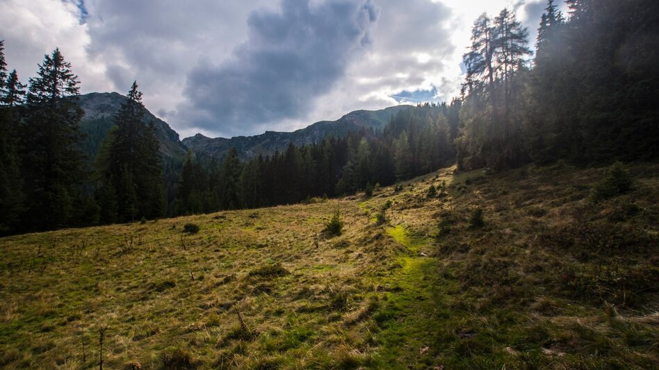 Wanderung Von der Reiteralm nach Pichl - Touren-Impression #2.2 | © Gerhard Pilz - www.gpic.at
