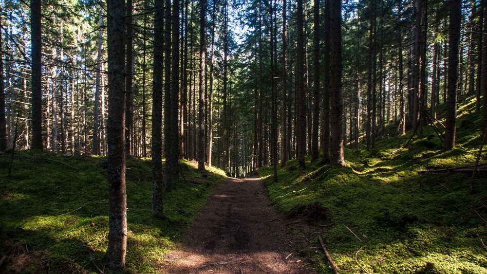Wanderung Von der Reiteralm nach Pichl - Touren-Impression #2.4 | © Gerhard Pilz - www.gpic.at