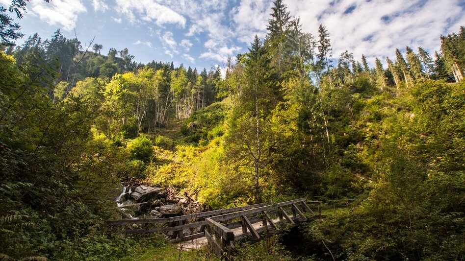 Wanderung Von der Reiteralm nach Pichl - Touren-Impression #2.5 | © Gerhard Pilz - www.gpic.at