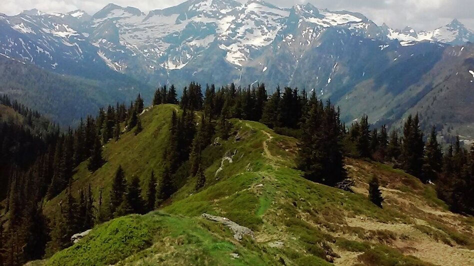 Mountain Hike Kochofen (1,920m), round trip via the Schladming Alm - Touren-Impression #2.12 | © Erlebnisregion Schladming-Dachstein