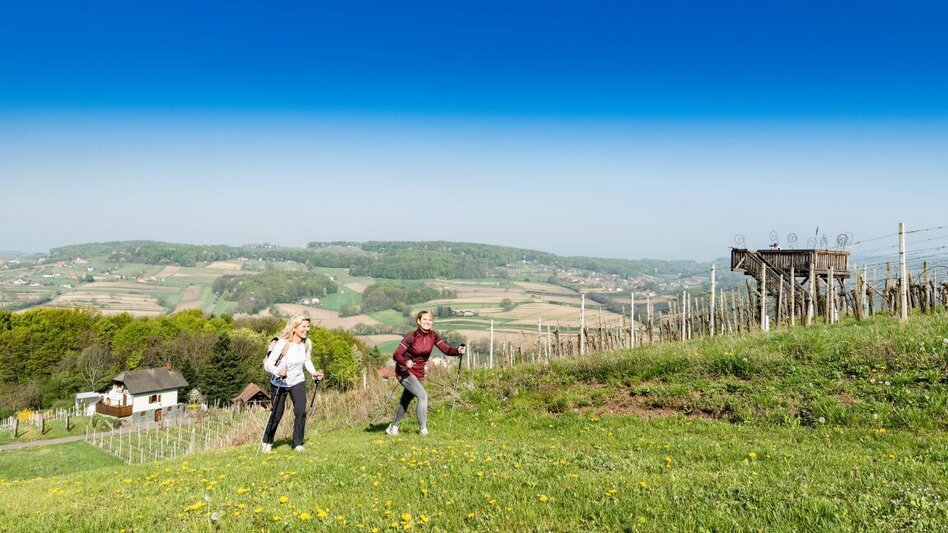 Hiking Route The canticle of the sun path (Sonnengesangsweg) - Touren-Impression #2.4 | © Thermen- & Vulkanland