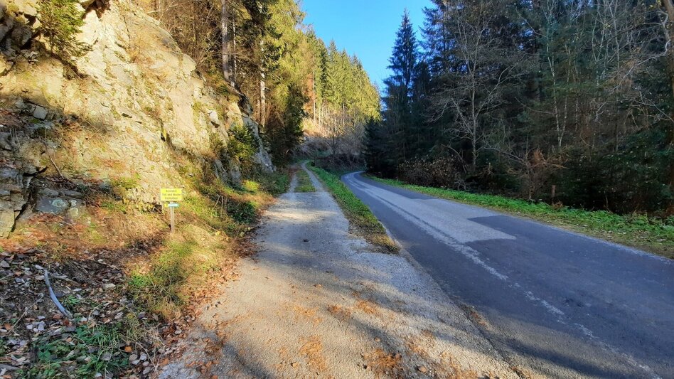 Wanderung Steinplan über Oberkamper - Touren-Impression #2.4 | © WEGES OG