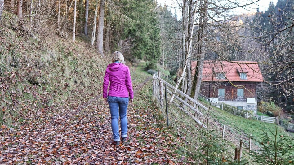 Wanderung Steinplan über Oberkamper - Touren-Impression #2.5 | © WEGES OG