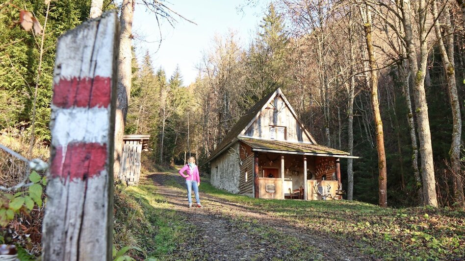 Wanderung Steinplan über Oberkamper - Touren-Impression #2.6 | © WEGES OG