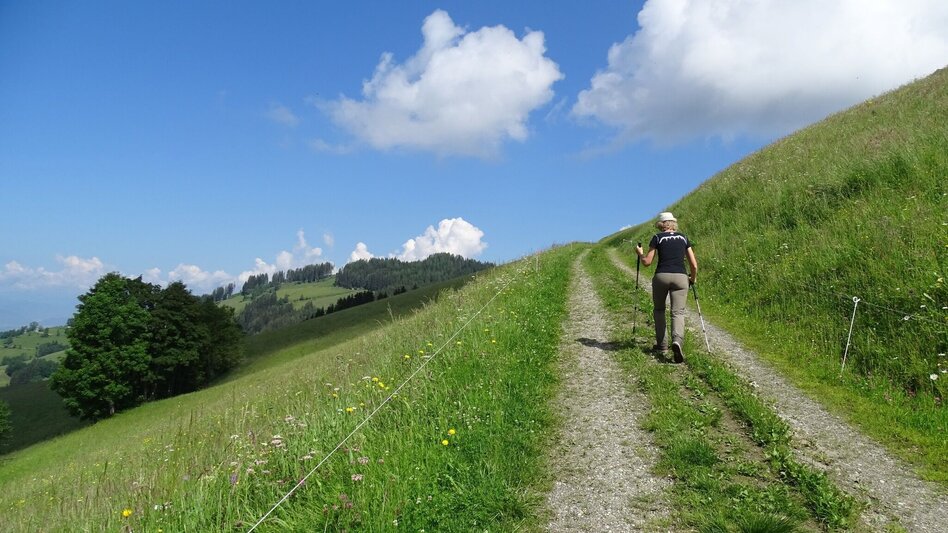 Wanderung Steinplan über Oberkamper - Touren-Impression #2.7 | © WEGES OG
